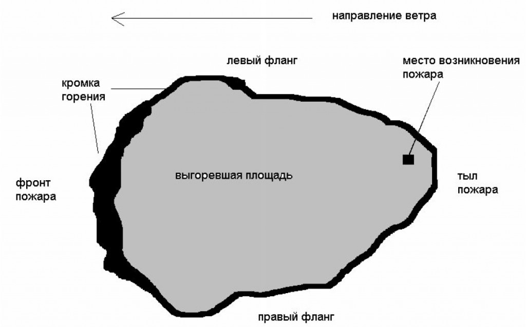 Схема лесного пожара образец