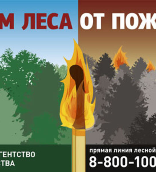 Состоялся Всероссийский конкурс на лучший проект по противопожарной пропаганде