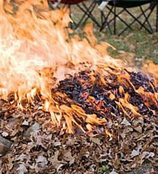 В Забайкальском крае обнаружено наибольшее число несанкционированных выжиганий сухой травы