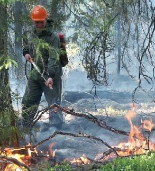 В Красноярском крае привлекают дополнительные силы для ликвидаци лесных пожаров