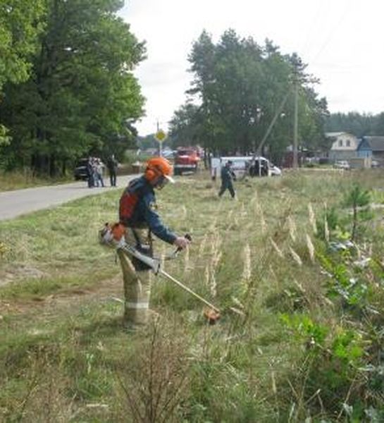 Операция «Сухая трава» проходит в Брянской области