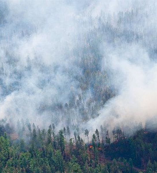 Пожары в труднодоступных регионах Иркутской области тушить не будут