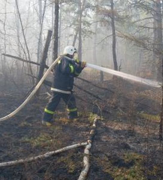 В Якутии продолжает сохраняться сложная обстановка с лесными пожарами