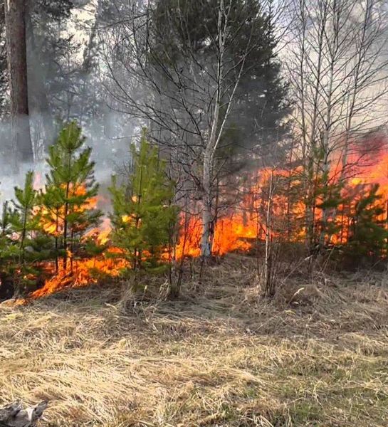 Несмотря на окончание лета в Красноярском крае не стихают лесные пожары
