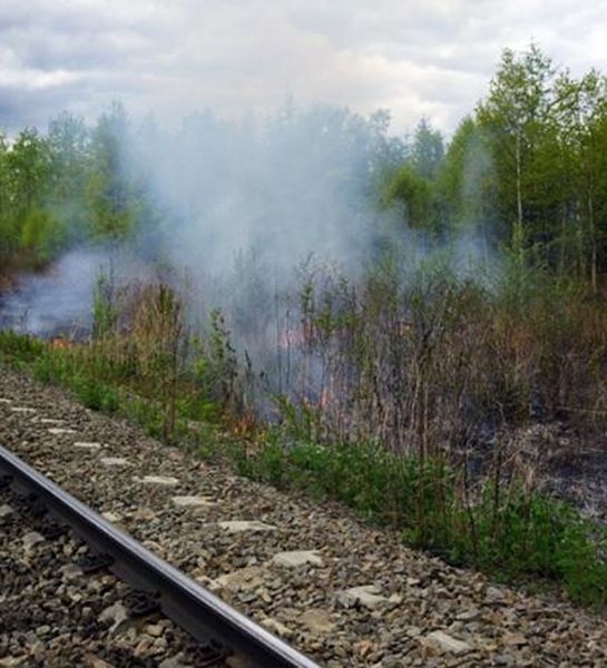 РЖД оштрафовали за лесной пожар в Вологодской области