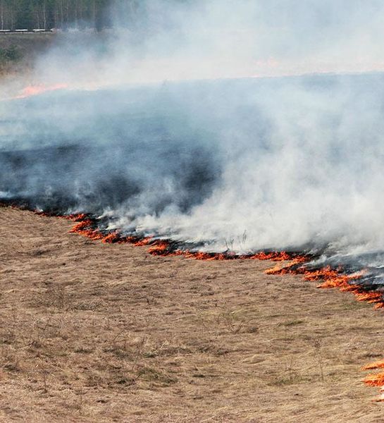 500 гектаров сухих трав сгорело недалеко от озера Светлое в Оренбургской области
