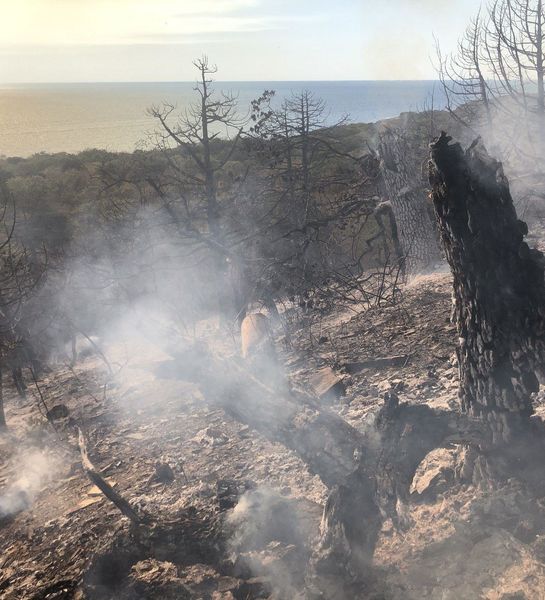 Основная причина пожара в заповеднике под Анапой - неосторожное обращение с огнем