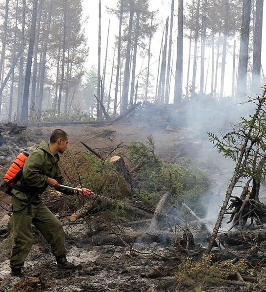 В Рослесхозе полагают, что сезон лесных пожаров 2020 года будет сложным