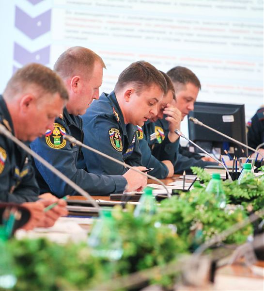 Правительственная комиссия Калужской области обсудила меры по профилактике лесных пожаров
