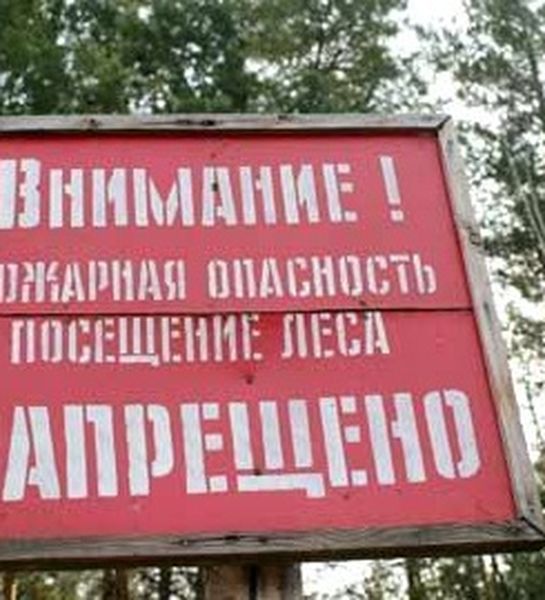 Крымские пожарные проводят мониторинг лесопожарной обстановки