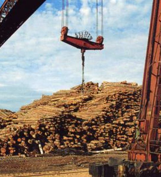 Прокуратурой Юрлинского района приняты меры по устранению нарушений в лесопромышленном комплексе