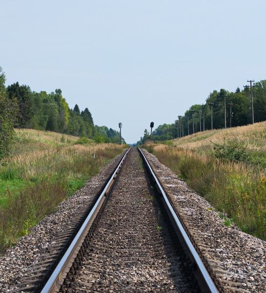 В Карелии обсудили безопасность в лесах в полосе отвода железной дороги