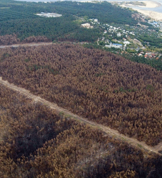 В Мурманской области за пожарами будут следить с воздуха