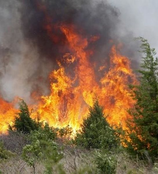 Для тушения пожаров в Амурской области правительство выделит 24 млн. рублей