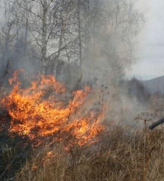 В Республике Бурятия отмечают сокращение числа лесных пожаров