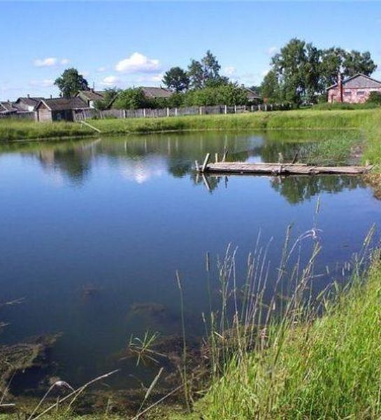 Суд обязал садоводческое товарищество в Медведевском районе Республики Марий Эл создать требуемый резерв воды