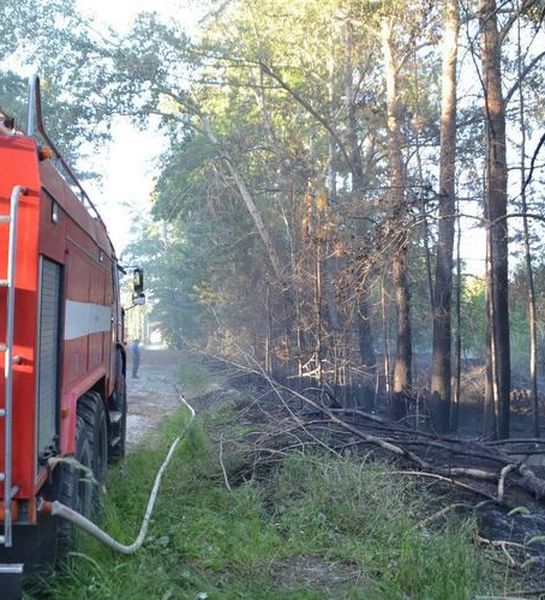 Итоги пожароопасного сезона подвели в Новосибирской области