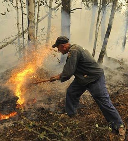 В лесничествах Алтайском края продолжается огневая очистка лесосек