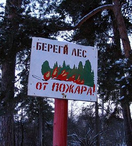 В Алтайском крае закончился пожароопасный период
