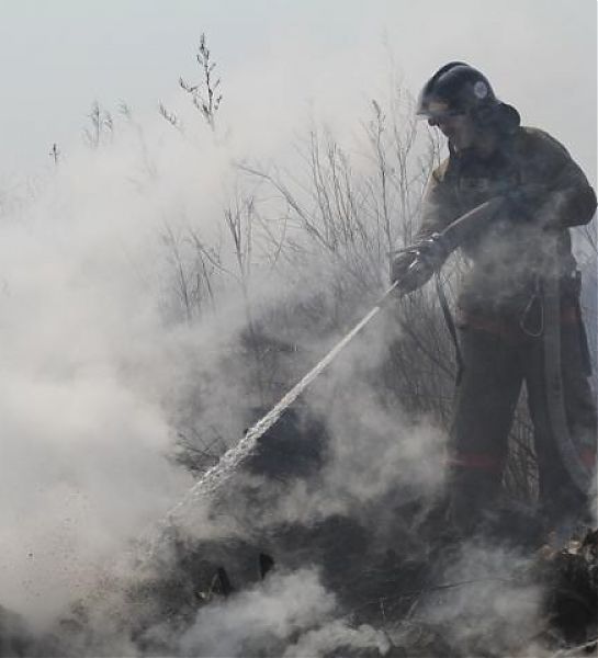 В Тулунском районе Иркутской области полностью потушили торфяные пожары