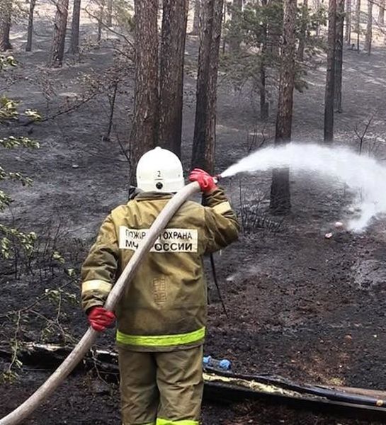 Генеральная прокуратура организовала проверки в сфере обеспечения пожарной безопасности в лесах