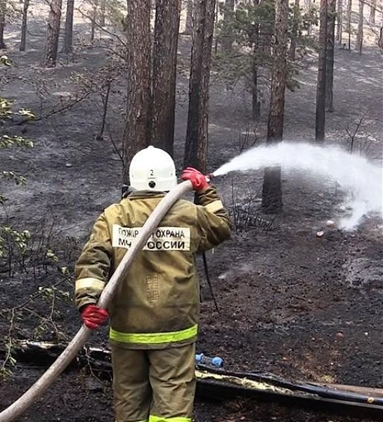 В Бурятии лесные пожары предложили тушить подземными водами