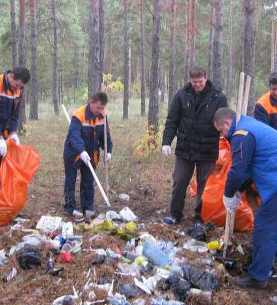 В Челябинской области начинается профилактика лесных пожаров
