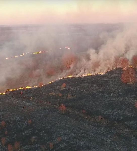 Пожарные Калининградской области за выходные 59 раз выезжали на тушение травы 