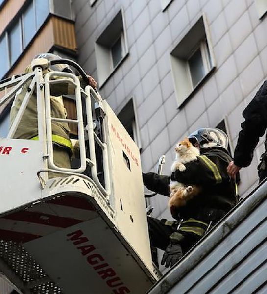 Московские пожарные спасли из горящего дома 45 человек