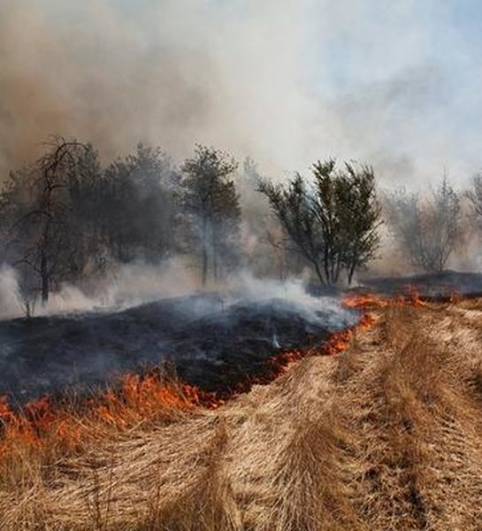 В Амурской области начал работу оперативный штаб по тушению лесных пожаров и палов