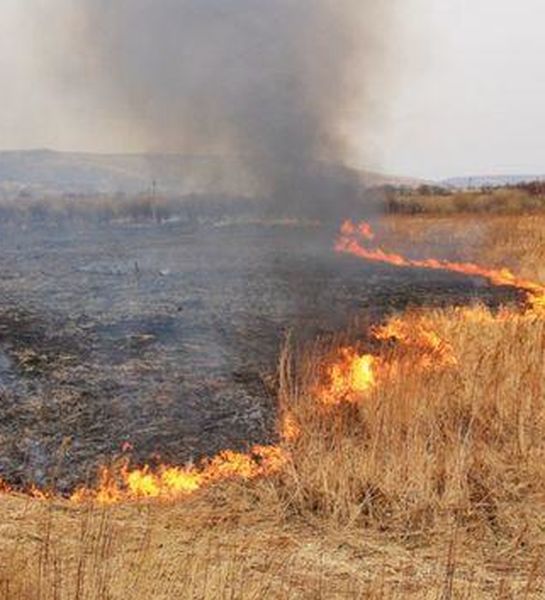 Сухая растительность в Крыму продолжает гореть