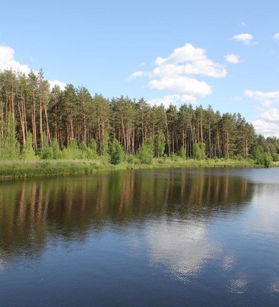 Новые правила пожарной безопасности в лесах утверждены в Республике Беларусь