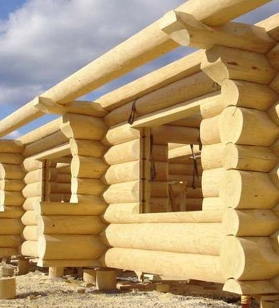 Минстрой подготовит изменения в нормы проектирования деревянного домостроения
