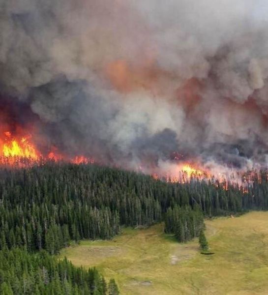 Пожары в Красноярском крае уже уничтожили почти миллион гектаров леса.