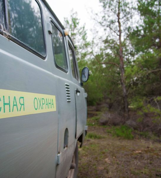 Жаркая погода ограничила гражданам возможность посещения зеленых зон и лесных массивов в Волгоградской области