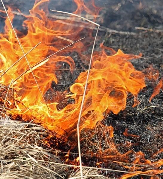 В Аксайском районе Ростовской области загорелась сухая трава