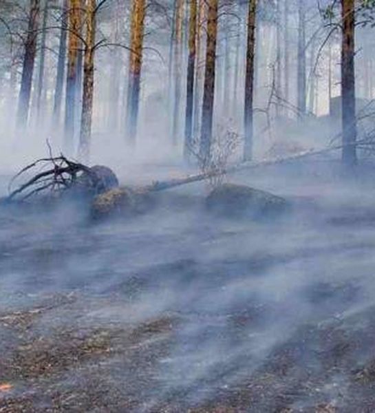 Площадь пожаров на Ямале значительно превышает показатели 2015 года