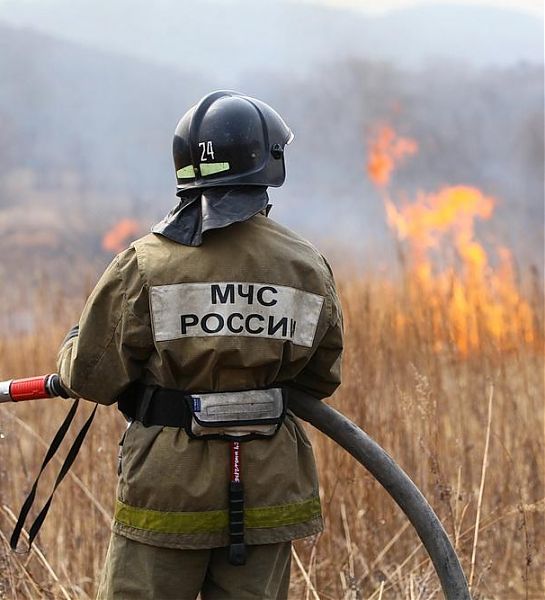 Ситуацию с пожарами на Дальнем Востоке МЧС называет «вакханалией»