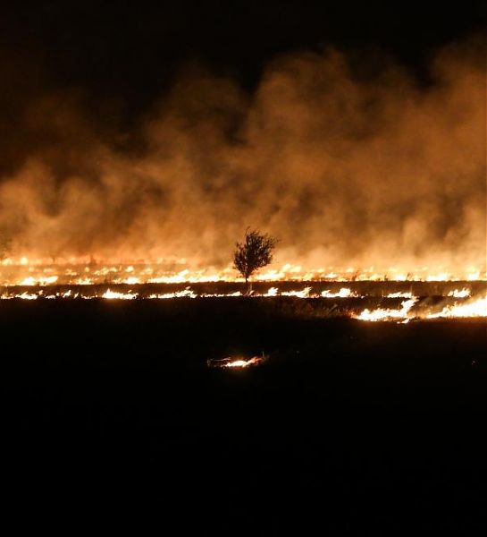 Более 150 построек в Волгоградской области уничтожено огнем