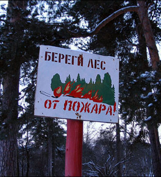 Нарушения требований правил пожарной безопасности в лесах Амурской области