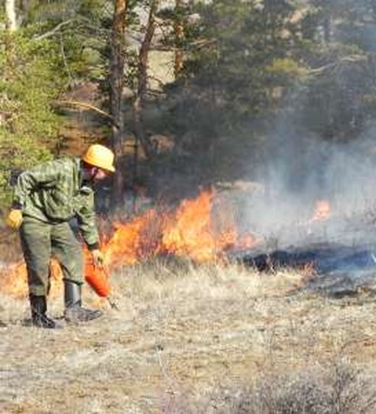 25 миллионов рублей будет направлено из федерального бюджета на защиту Бурятии от пожаров