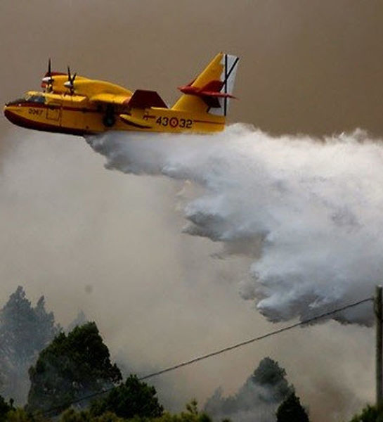 Амурской области могут дать федеральные полномочия для тушения лесных пожаров