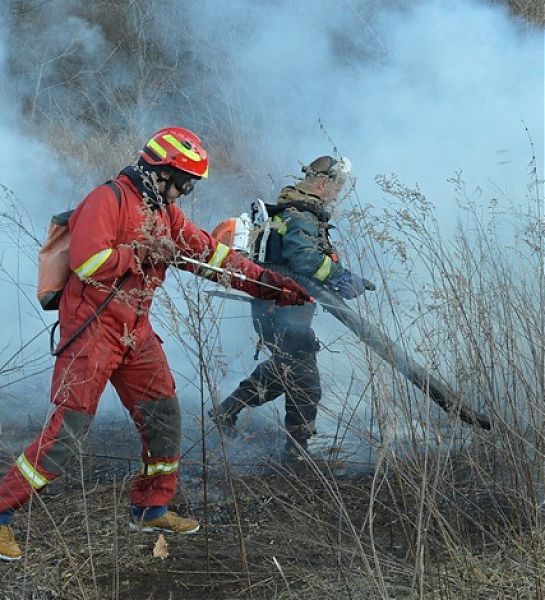 В Рослесхозе высоко оценили деятельность Лесопожарного центра Красноярского края