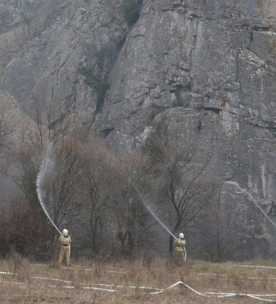 Завтра в Крыму состоится масштабная тренировка пожарных по тушению условного лесного пожара