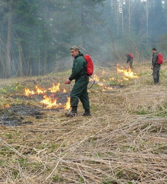 Для борьбы с пожарами в Хакасии проводят контролируемые выжигания травы