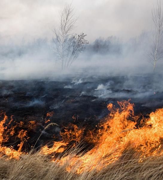 В семи районах Волгоградской области ожидается высокая пожароопасность