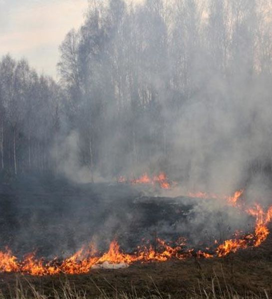 Аномальная жара и грозы в Хакасии привели к лесным пожарам