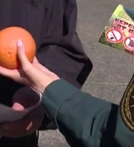 Сотрудники МЧС в Мурманске вручают автолюбителям апельсины