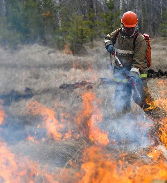 На Камчатке самый крупный с начала сезона природный пожар локализован силами лесоохраны