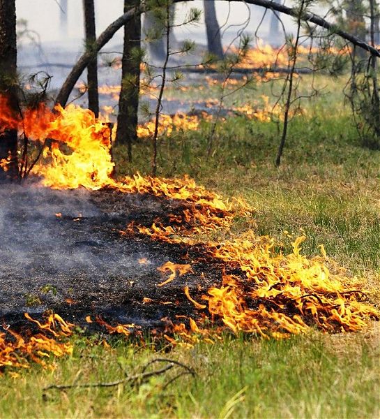 В Омской области ожидается сложная пожароопасная обстановка